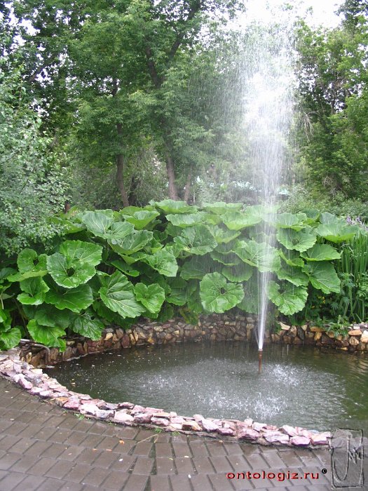 park (16)